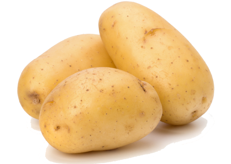 Yerli patates tohumu 'Nahita'nın satışı yapıldı