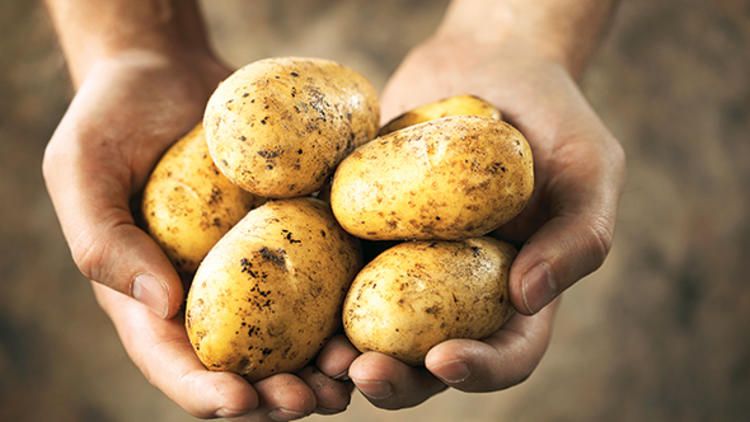 Patates fiyatlarında Hassas Takip