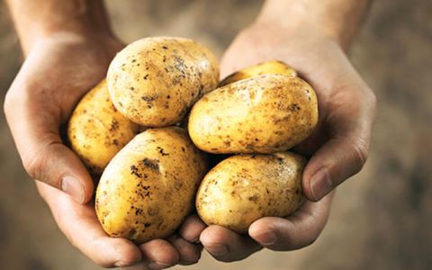 Patates fiyatlarında Hassas Takip