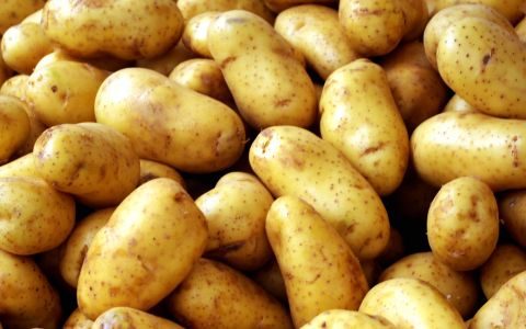 Patates sektöründe neler oluyor